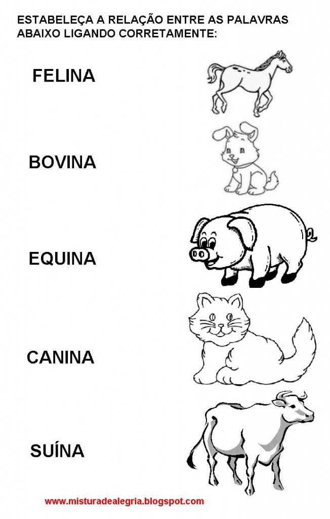 atividade_cartilha4SDF