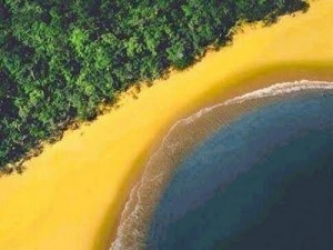 bandeira_brasil_simulada